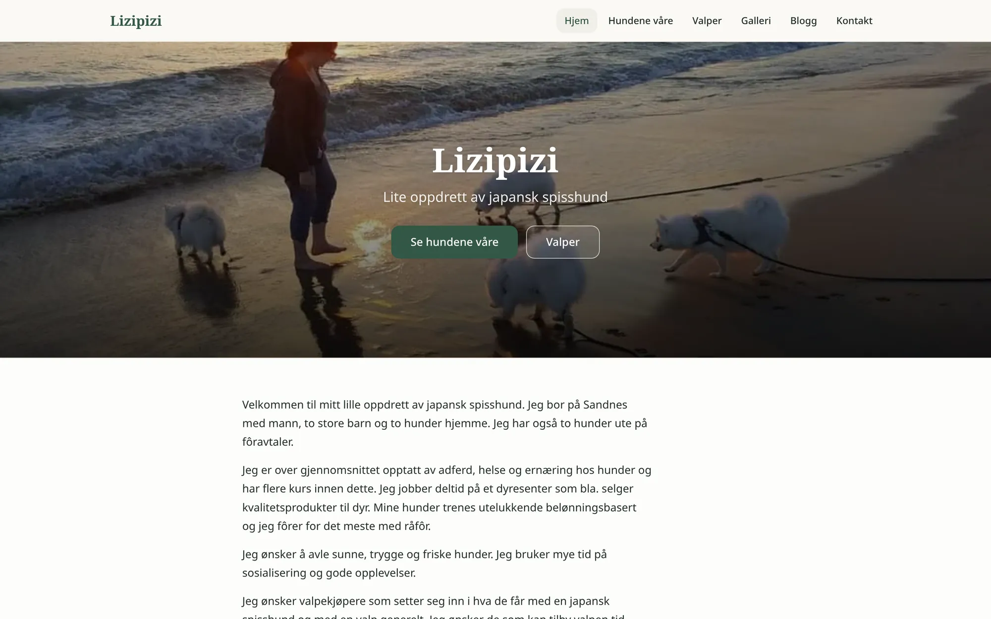 Forsiden til lizipizi.no på PC: bilde av japanske spisshunder på stranden i solnedgang